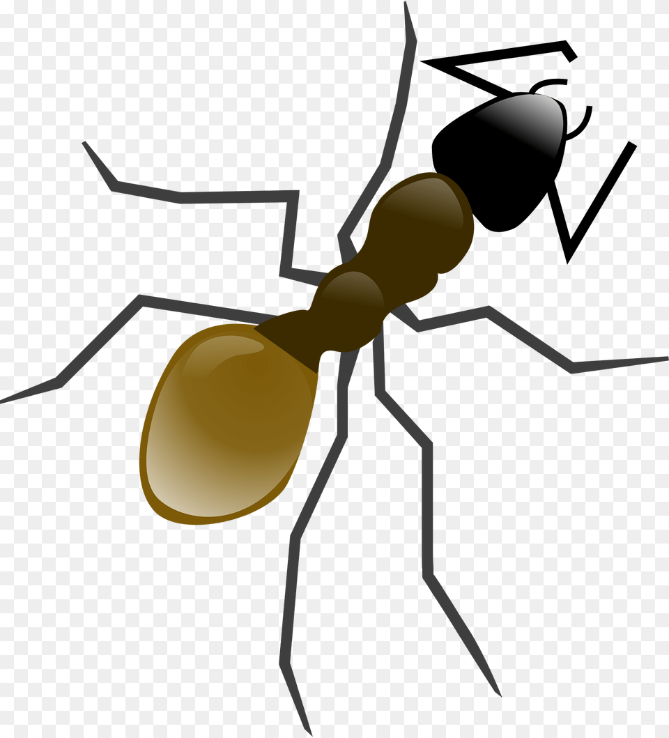 Ant Clipart, Animal, Insect, Invertebrate Png