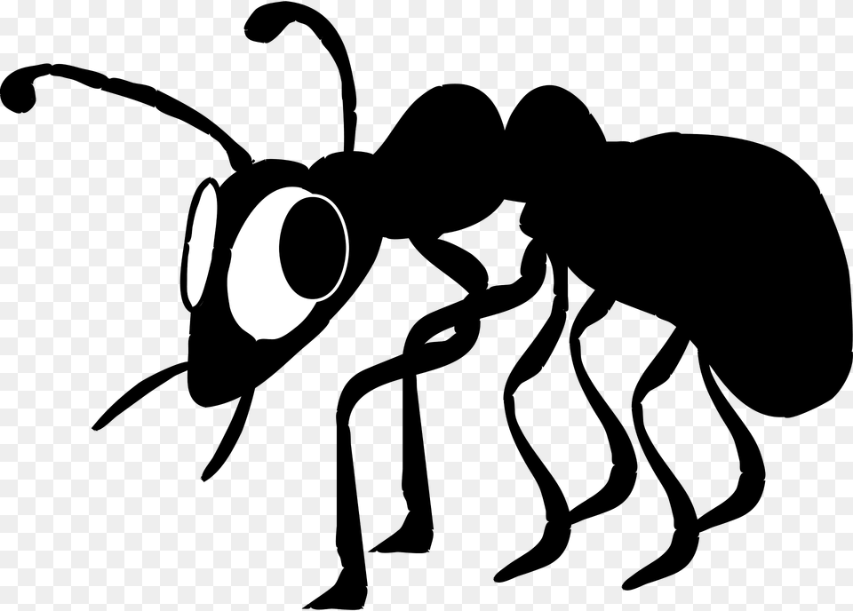Ant Clipart, Animal, Insect, Invertebrate, Kangaroo Png