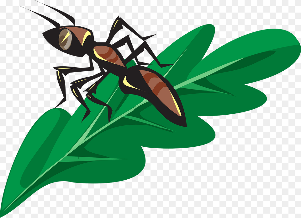 Ant Clipart, Animal, Invertebrate, Insect, Bee Png Image