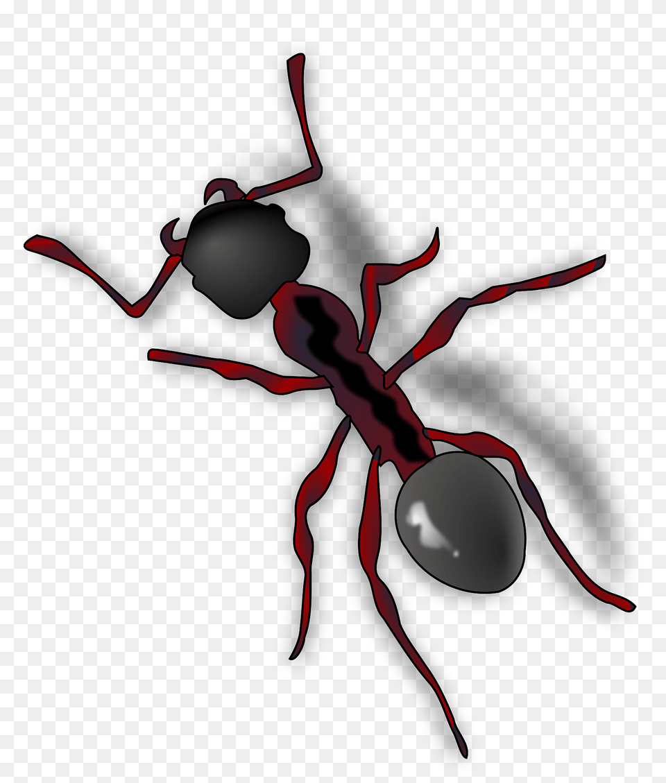 Ant Clipart, Animal, Insect, Invertebrate, Dynamite Free Transparent Png