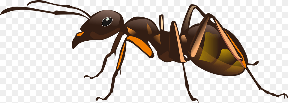 Ant Clipart Big Ant Ant, Animal, Insect, Invertebrate Free Png
