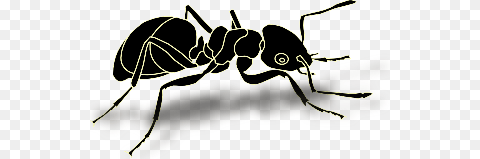 Ant Clipart Gray, Animal, Insect, Invertebrate Free Png