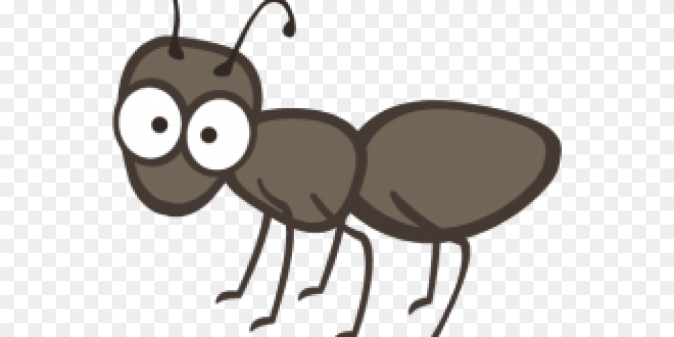Ant Clipart Picnic, Animal, Baby, Person, Insect Free Transparent Png