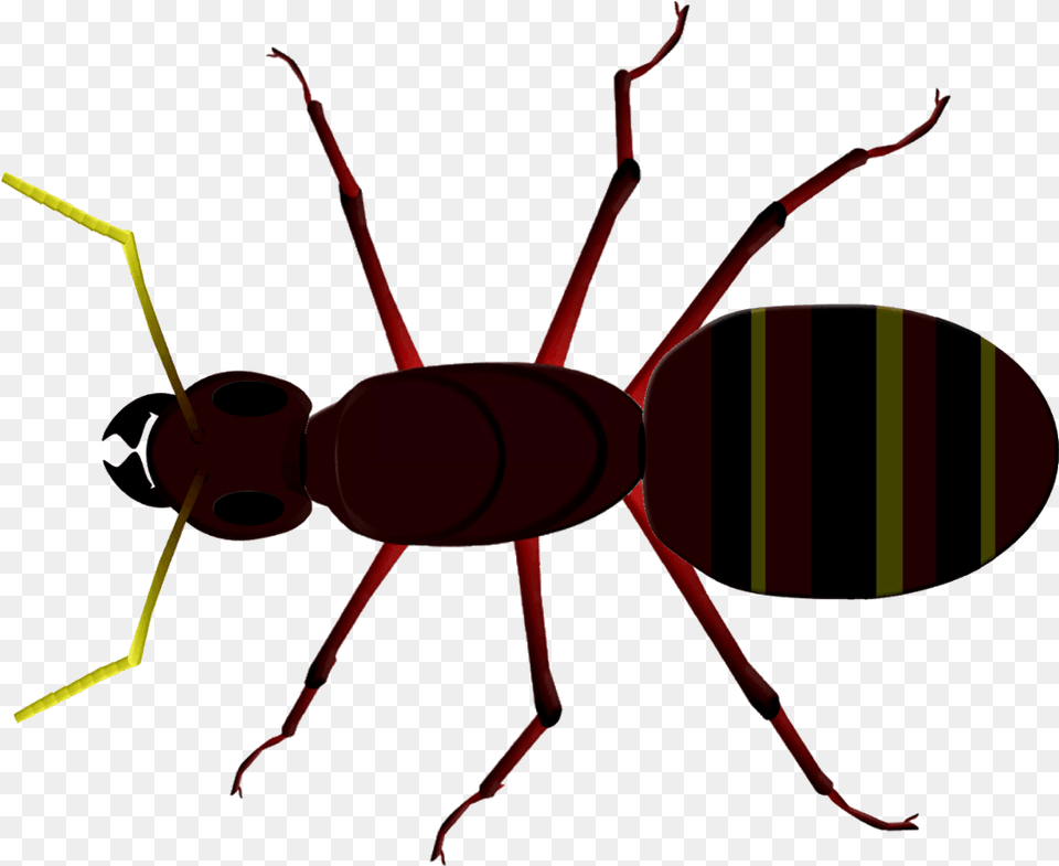 Ant Clipart Tiny Ant Insect Head Thorax Abdomen, Animal, Invertebrate, Spider Free Png Download