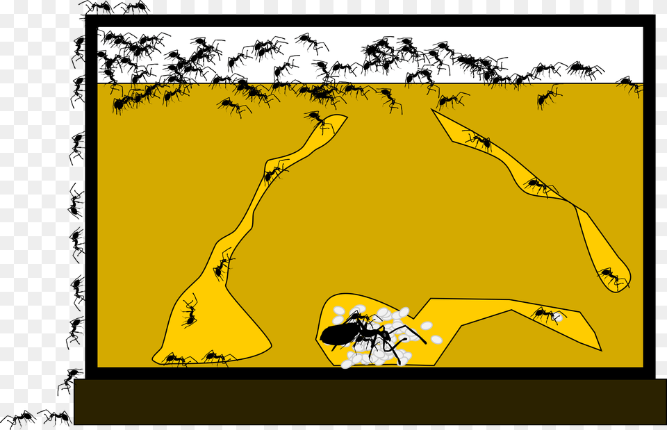 Ant Farm Clip Arts Clip Art Ant Farm, Person, Animal, Insect, Invertebrate Png