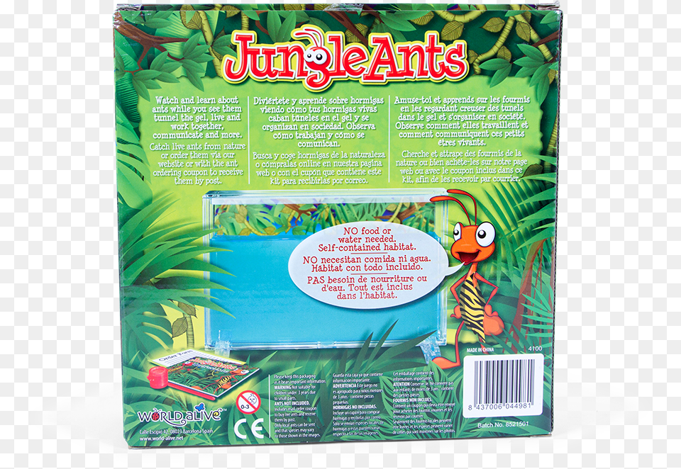 Ant Farm Jungle Ants Png Image