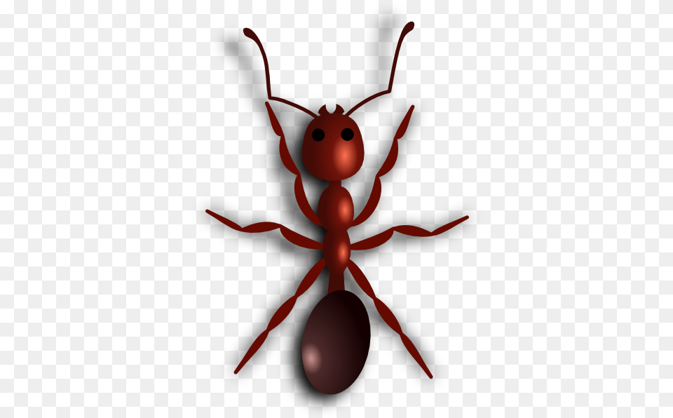 Ant Fire Ant Clipart, Animal, Insect, Invertebrate, Spider Png Image