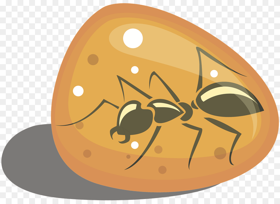 Ant Fossilized In Amber Clipart, Animal, Insect, Invertebrate, Disk Free Png Download