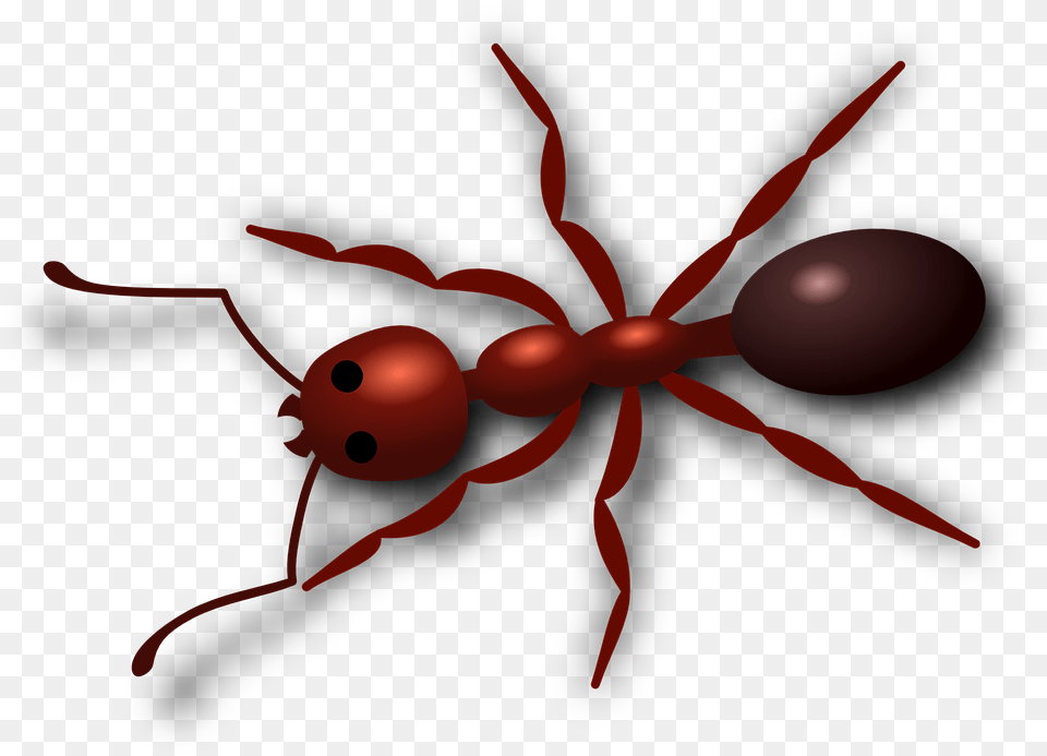 Ant Hd Ant Clip Art, Animal, Insect, Invertebrate, Spider Free Png Download