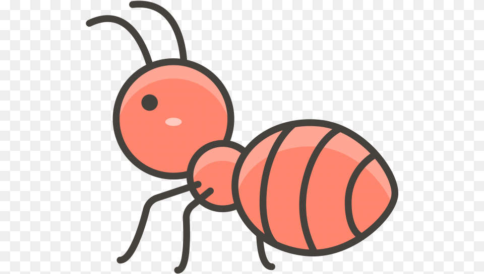 Ant Icon, Animal, Insect, Invertebrate Png Image