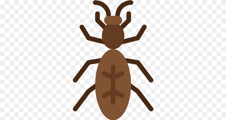 Ant Icon Ant, Animal, Person Free Png