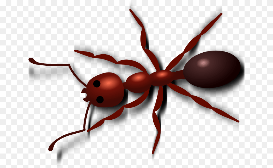 Ant Images Red Ant Clip Art, Animal, Insect, Invertebrate, Spider Free Transparent Png