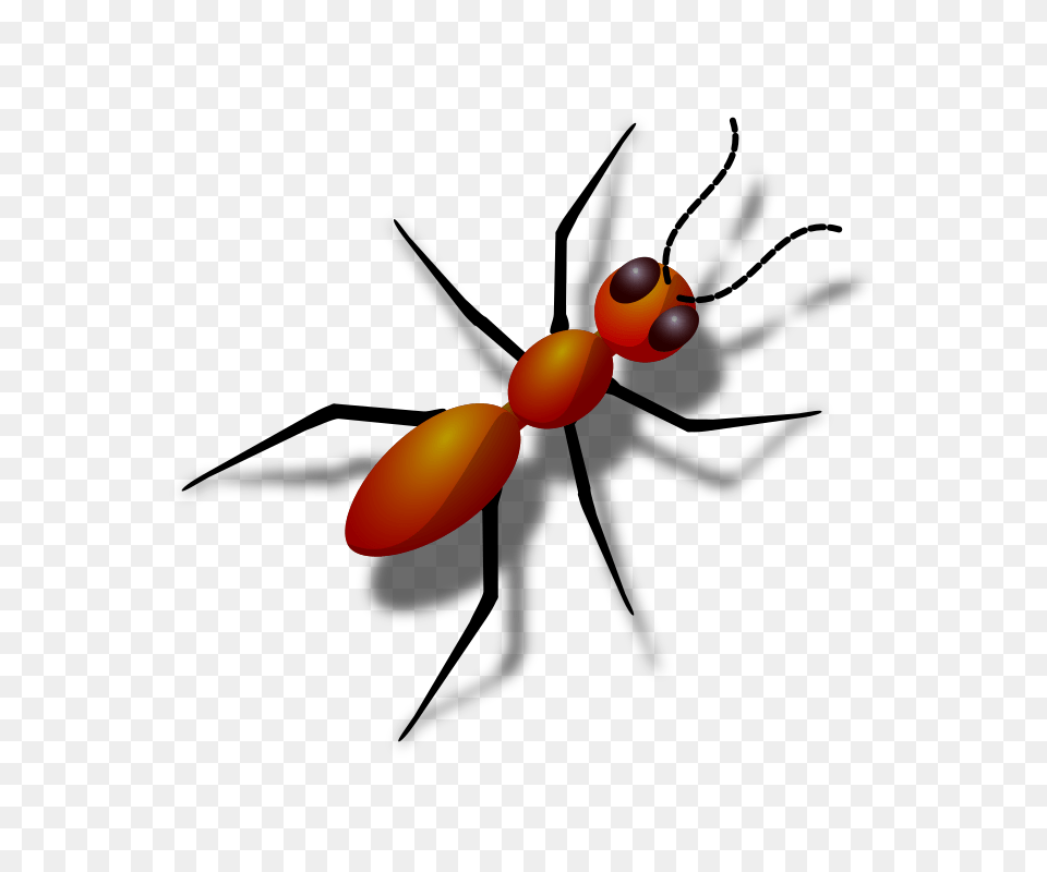 Ant Images Download, Balloon, Animal Free Transparent Png