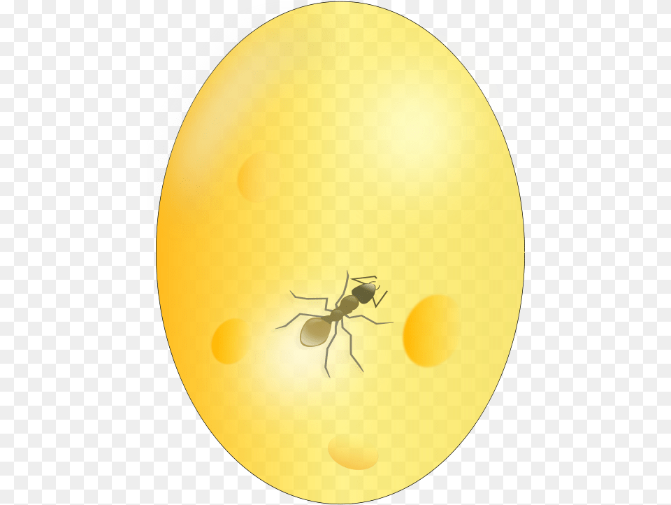Ant In Amber, Animal, Insect, Invertebrate Free Transparent Png