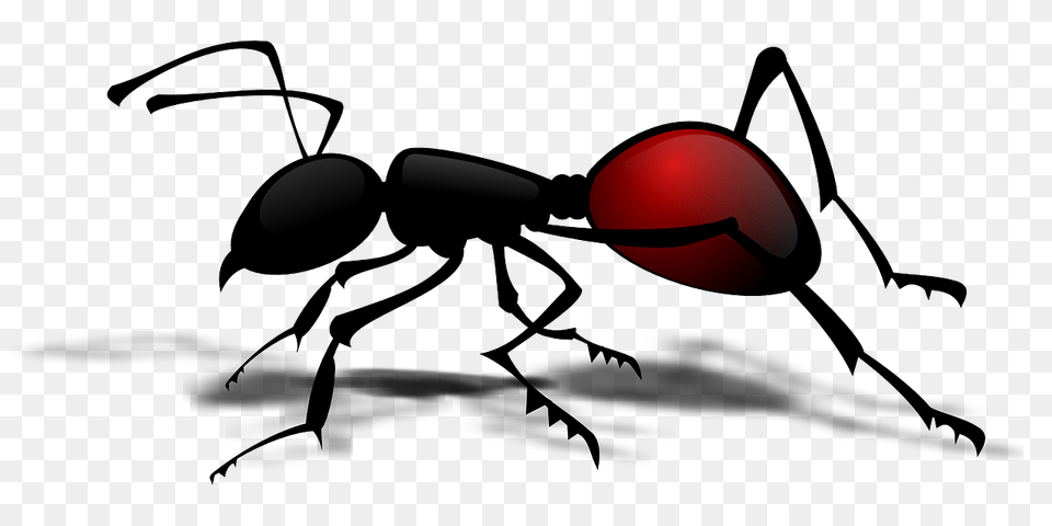 Ant Insect Clip Art, Animal, Invertebrate Png Image