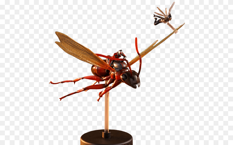 Ant Man And The Wasp, Animal, Bee, Insect, Invertebrate Free Png