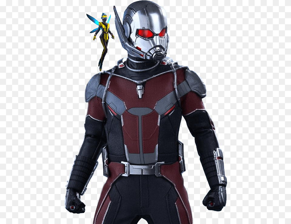 Ant Man And The Wasp Captain America Civil War Movie Masterpiece Action, Person, Adult, Female, Woman Free Png Download