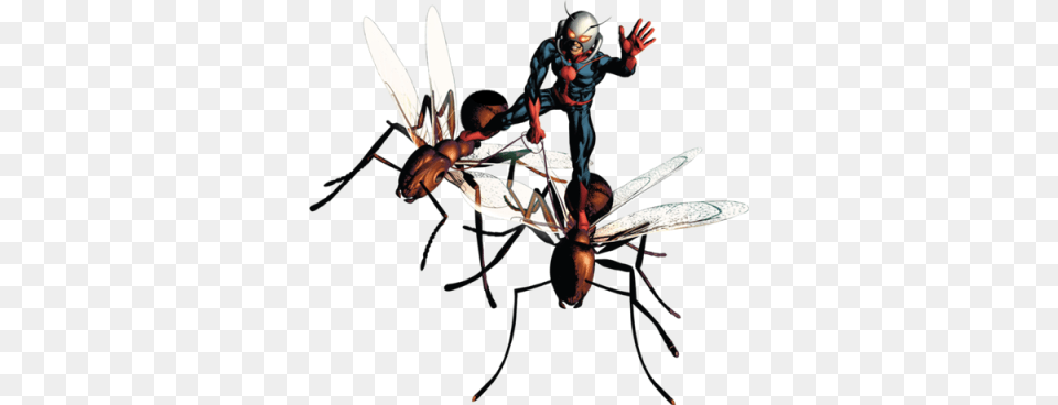 Ant Man Dlpng, Animal, Invertebrate, Insect, Wasp Png Image