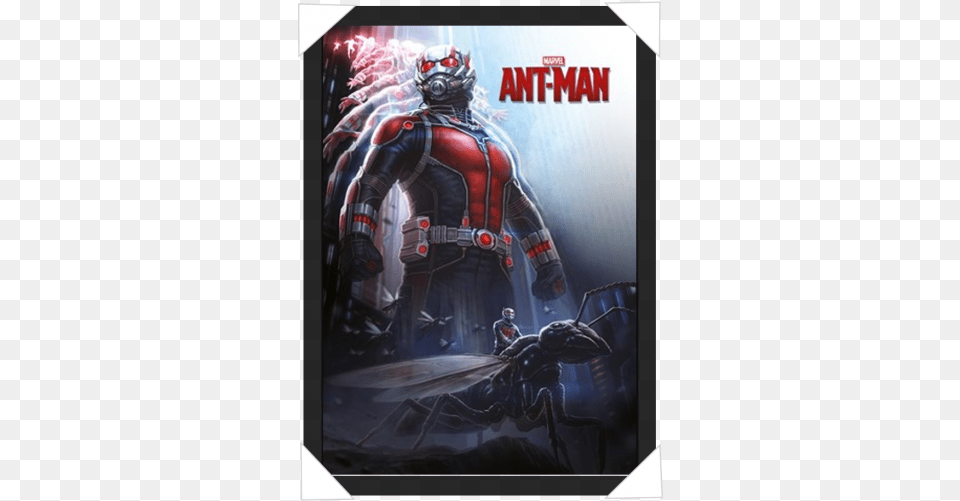 Ant Man Grow Poster 61 X 915 Cm, Helmet, Adult, Male, Person Free Png