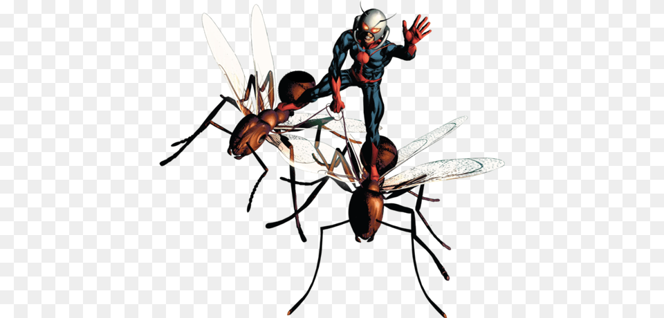 Ant Man Picture, Animal, Wasp, Bee, Invertebrate Free Png