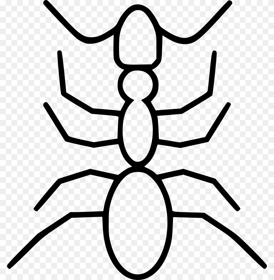 Ant Orb Weaver Spider, Animal, Insect, Invertebrate, Kangaroo Free Png Download
