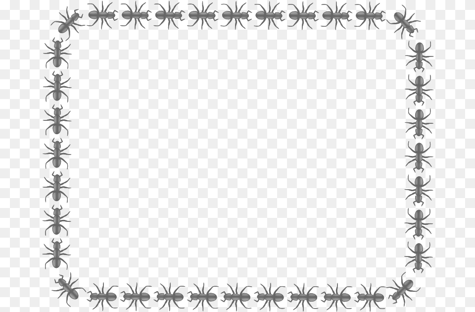 Ant Rectangle Medium Ant Borders Clip Art, Floral Design, Graphics, Home Decor, Pattern Free Png Download