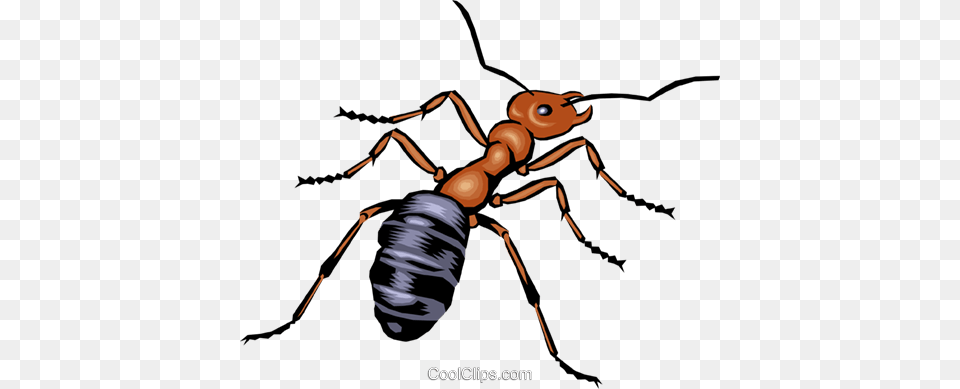 Ant Royalty Vector Clip Art Illustration, Animal, Insect, Invertebrate, Spider Free Transparent Png