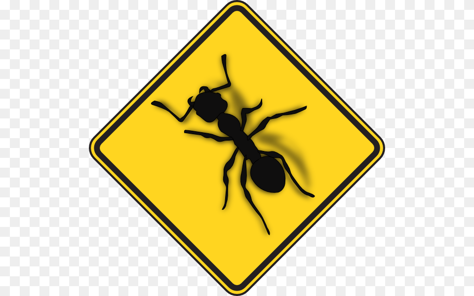 Ant Sign Danger Clip Art, Symbol, Animal, Insect, Invertebrate Free Png Download