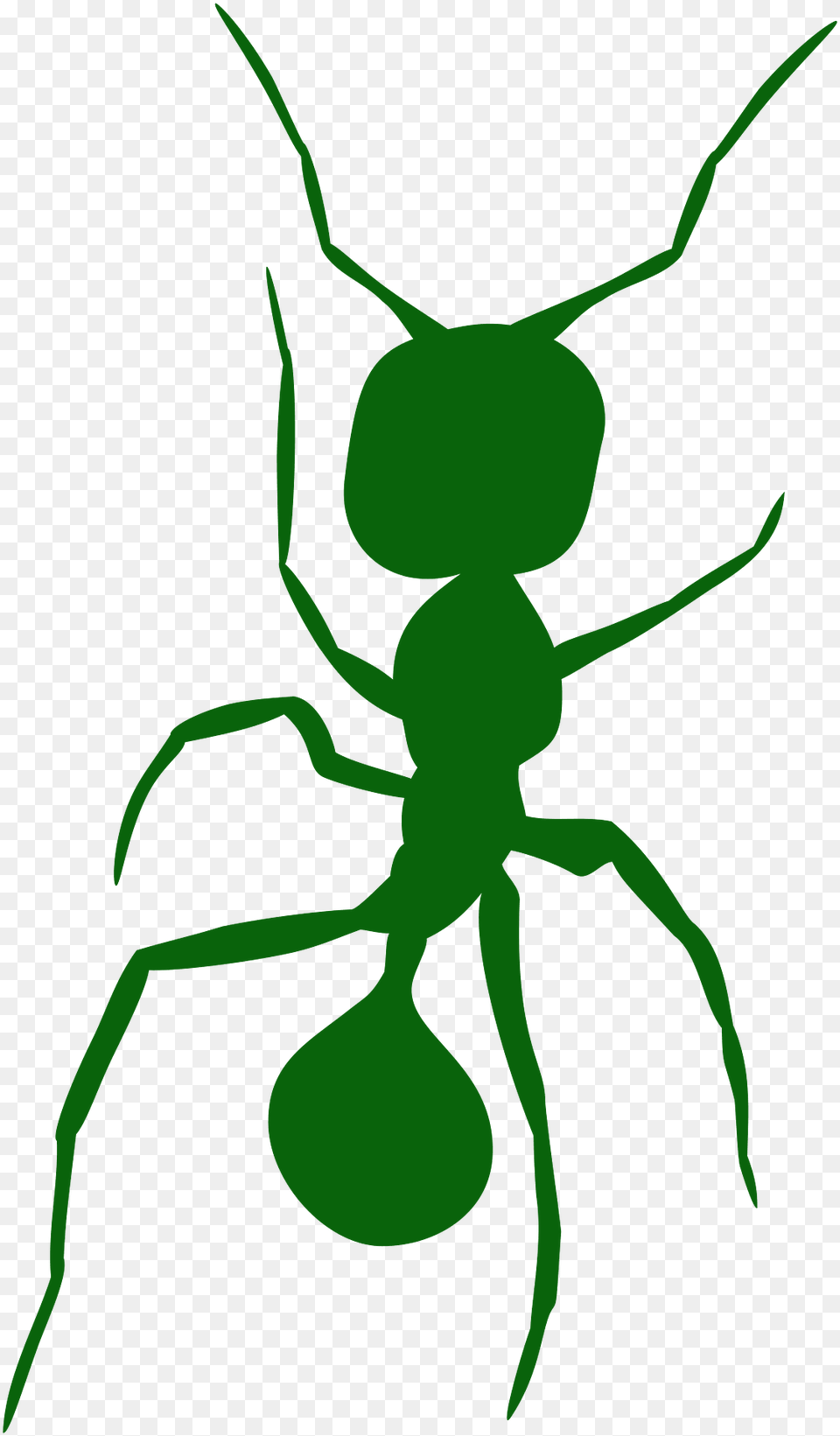 Ant Silhouette, Animal, Insect, Invertebrate, Person Free Transparent Png
