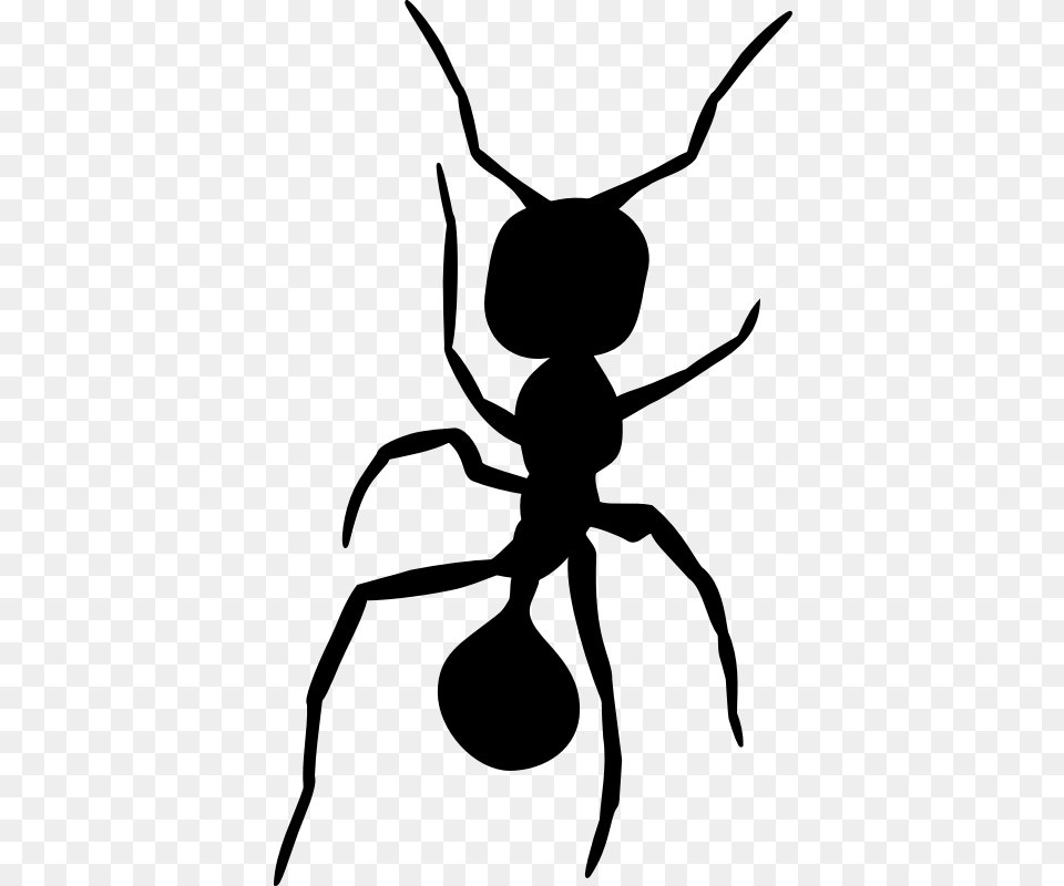 Ant Silhouette, Gray Free Png