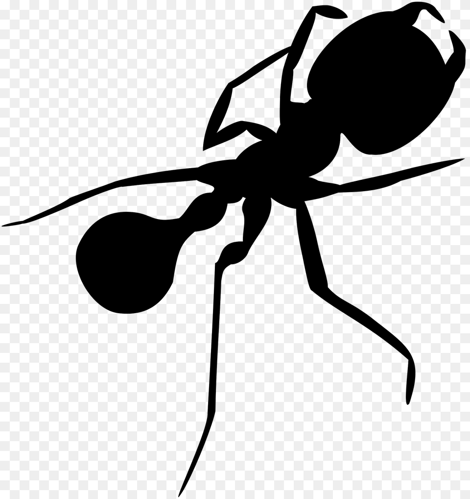 Ant Silhouette, Animal, Insect, Invertebrate, Spider Free Png Download