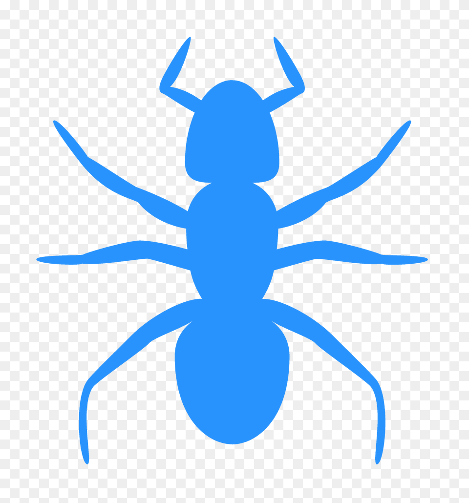 Ant Silhouette, Animal, Fish, Insect, Invertebrate Png Image