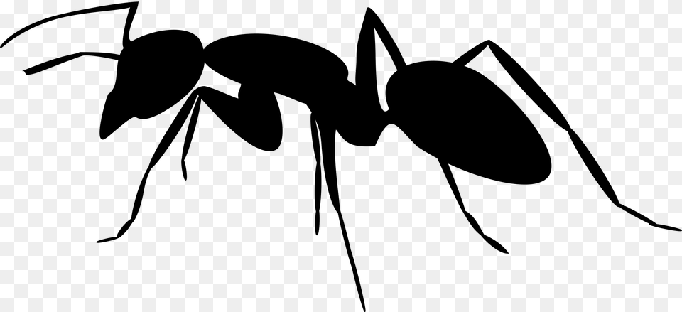 Ant Silhouette Icons, Gray Free Transparent Png
