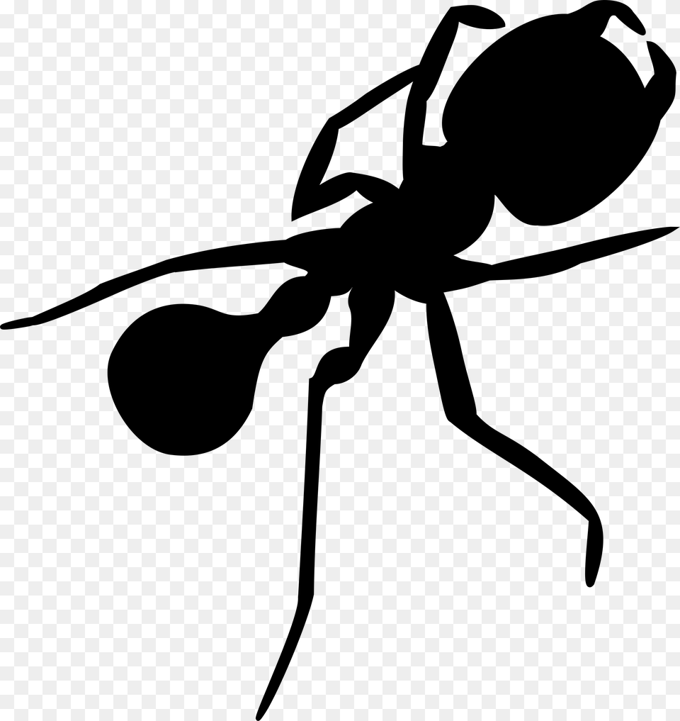 Ant Silhouette Icons, Gray Png