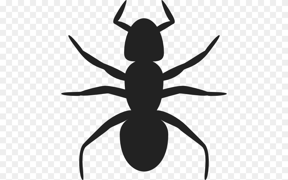 Ant Svg Clip Arts Ant Clip Art, Animal, Insect, Invertebrate, Kangaroo Free Png Download