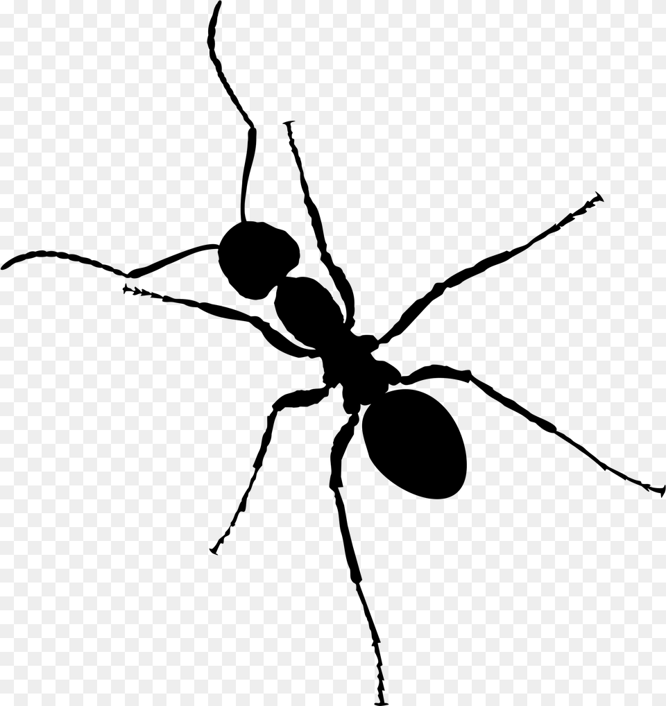 Ant Background Ants Clipart, Gray Free Transparent Png