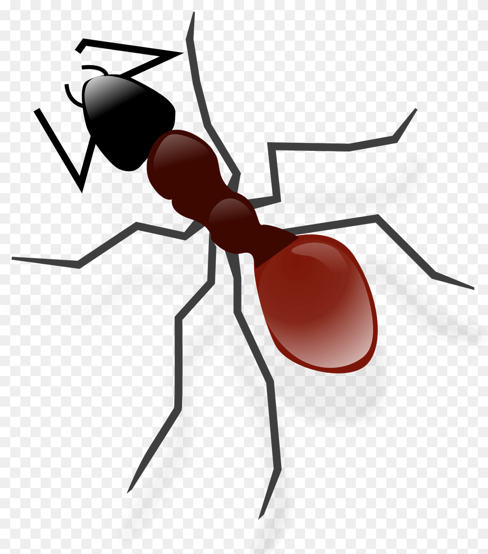Ant Transparent Image, Animal, Insect, Invertebrate, Bow Free Png Download