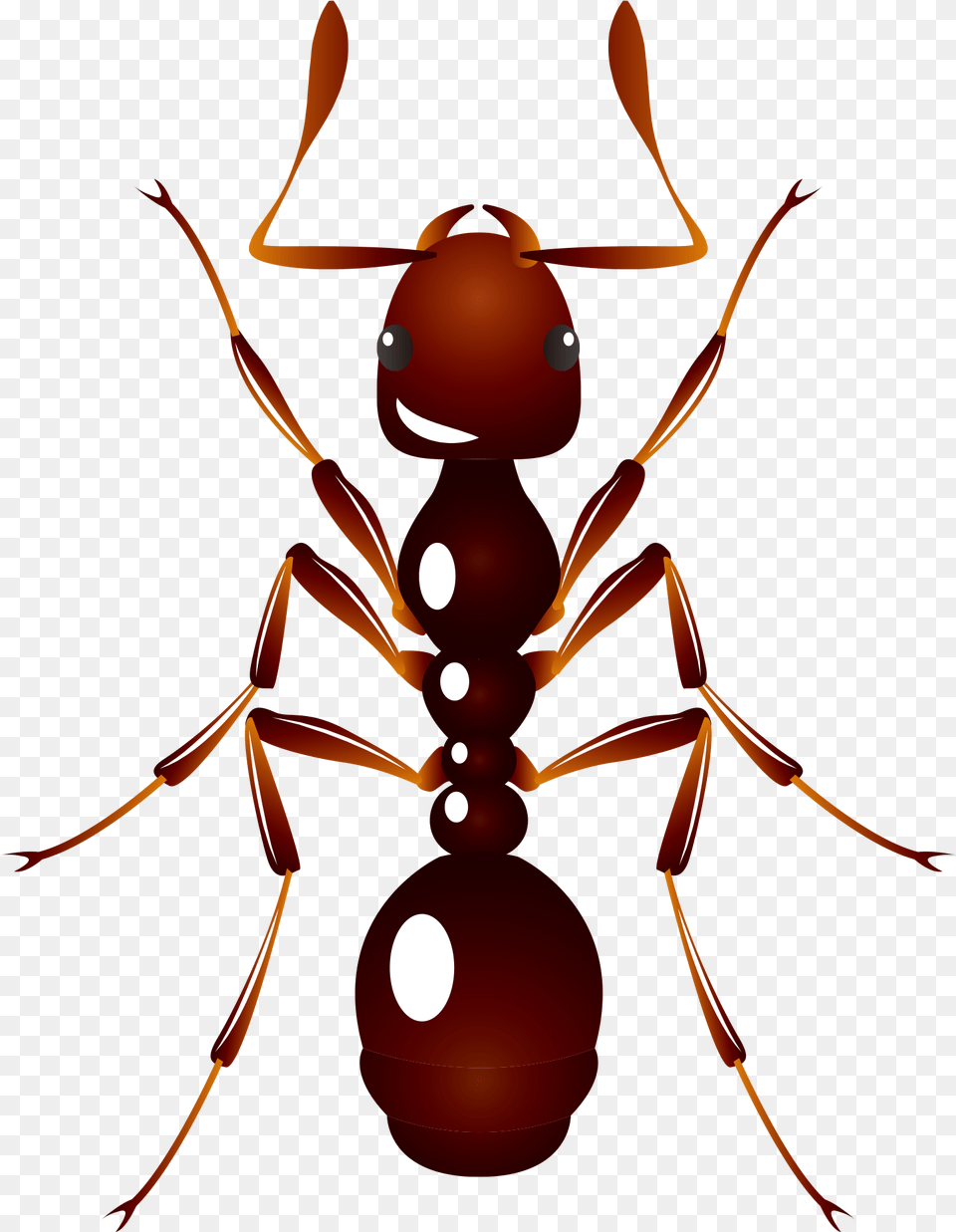 Ant U6606u866b U8682u8681 Insect Ant, Animal, Invertebrate, Chandelier, Lamp Free Transparent Png