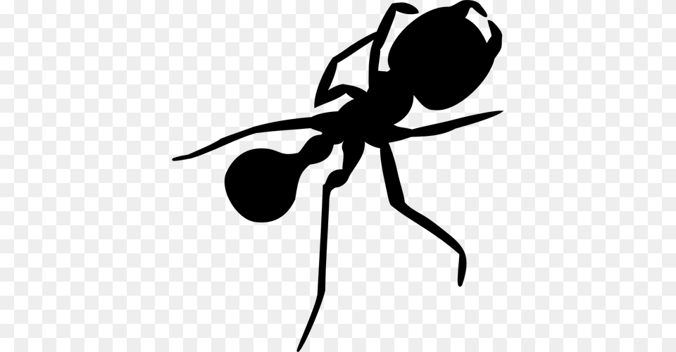Ant With Long Legs Silhouette Vector Graphics, Gray Png