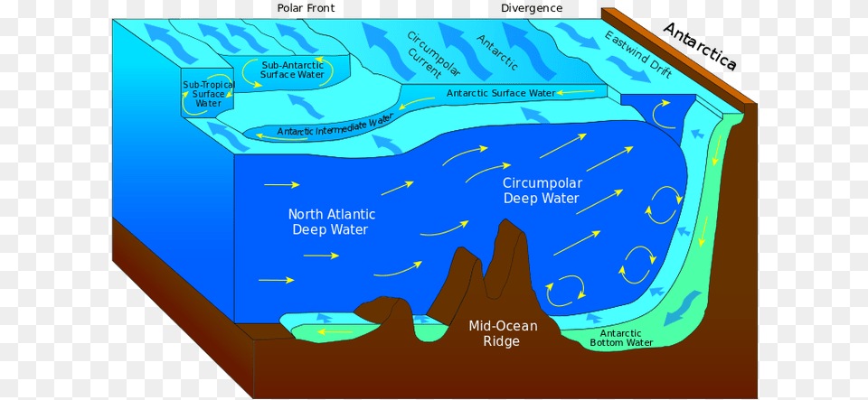 Antarctic Bottom Water Ocean Currents Antarctica, Water Sports, Swimming, Sport, Person Free Png