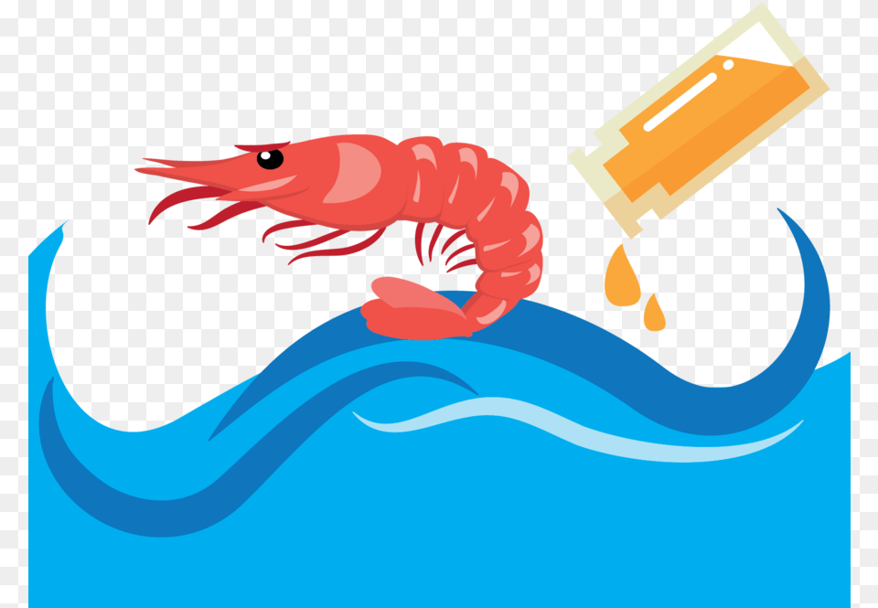 Antarctic Krill Cartoon Clipart Southern Ocean Antarctic, Food, Seafood, Animal, Sea Life Free Transparent Png