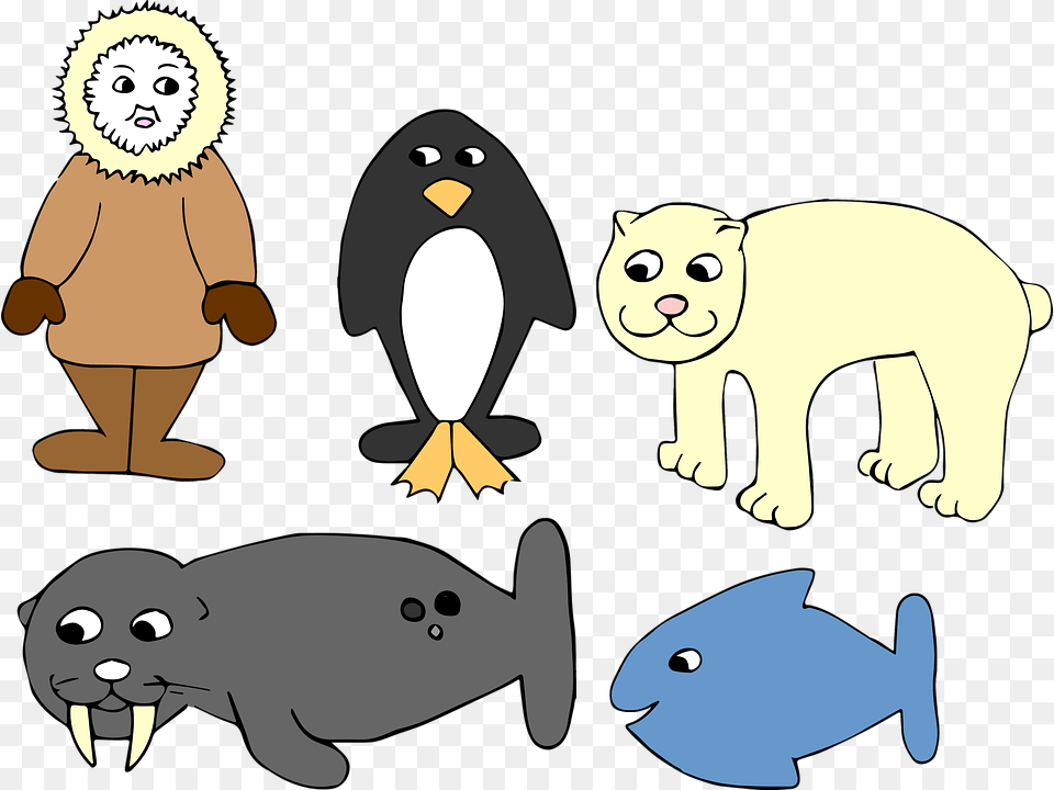 Antarctica Winter Eskimo Penguin Fish Seal Bear Eskimo Penguin, Animal, Person, Mammal, Wildlife Free Png Download