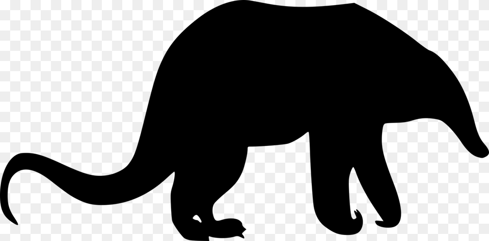 Anteater Whiskers Aardvark Silhouette Cat, Gray Png Image