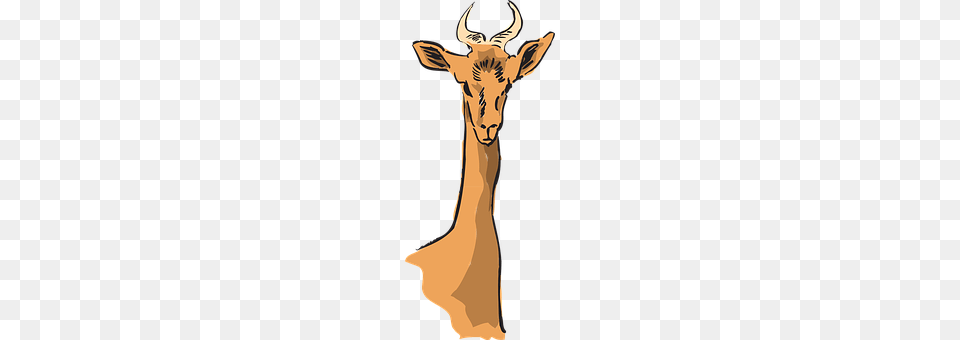 Antelope Animal, Deer, Mammal, Wildlife Png Image