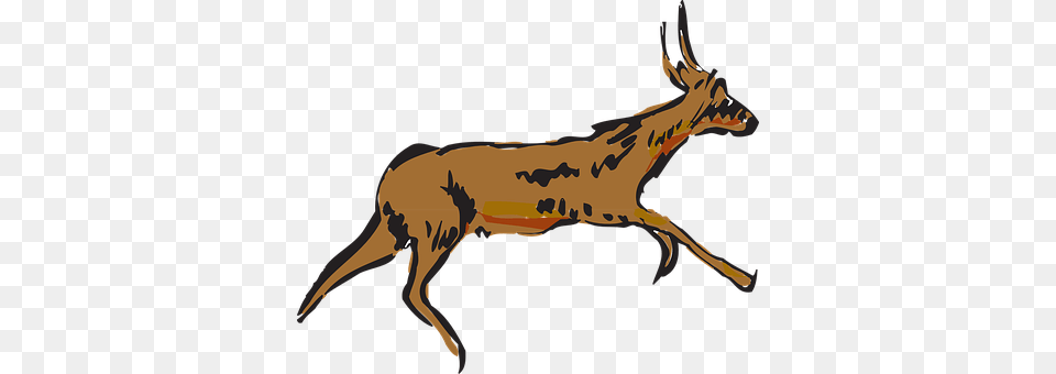Antelope Animal, Deer, Mammal, Wildlife Free Png Download