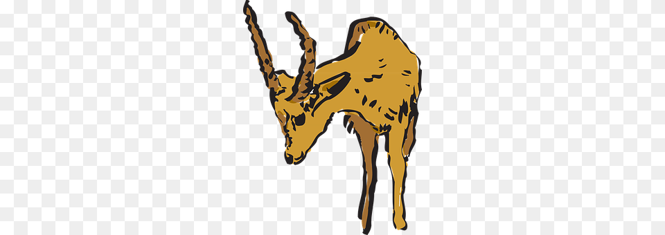 Antelope Animal, Mammal, Livestock, Adult Png