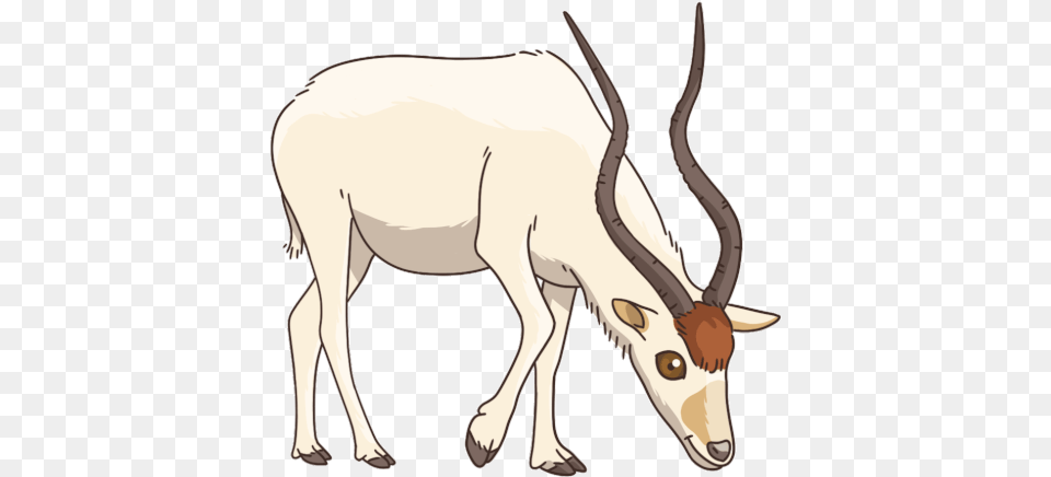 Antelope Addax Sticker Antelope Addax Discover U0026 Share Gifs Reindeer, Animal, Mammal, Wildlife, Impala Free Transparent Png