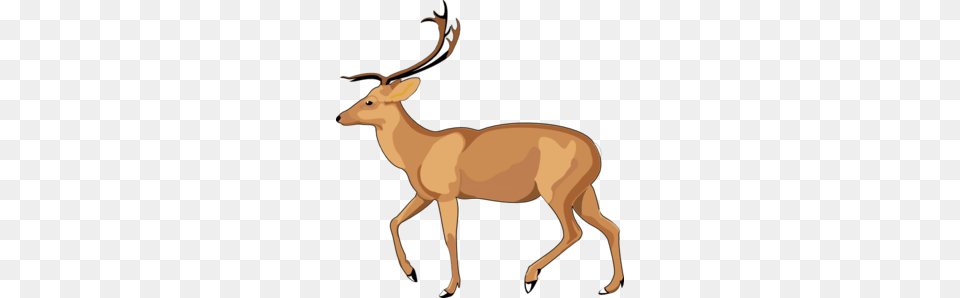 Antelope Clip Art, Animal, Impala, Mammal, Wildlife Free Png