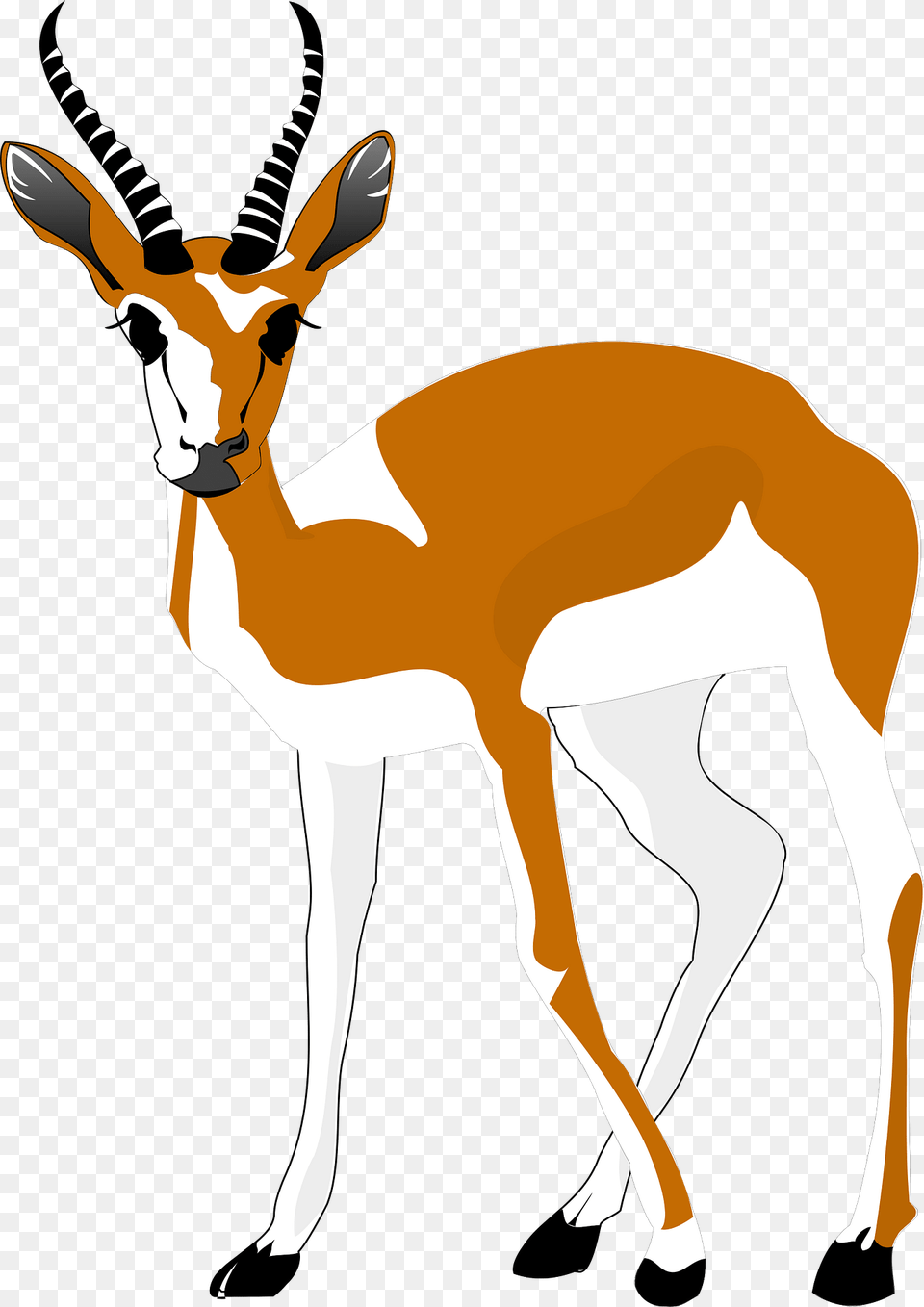 Antelope Clipart, Animal, Gazelle, Mammal, Wildlife Png
