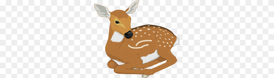 Antelope Clipart, Animal, Deer, Mammal, Wildlife Free Png Download